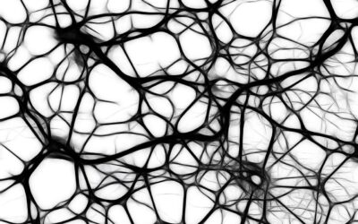 Brain Injury