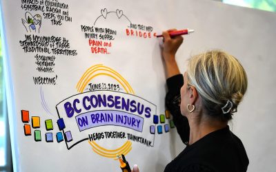 Year Two: Exploring the Intersections of Mental Health, Addictions, and Brain Injury with a focus on Intimate Partner Violence and Brain Injury.